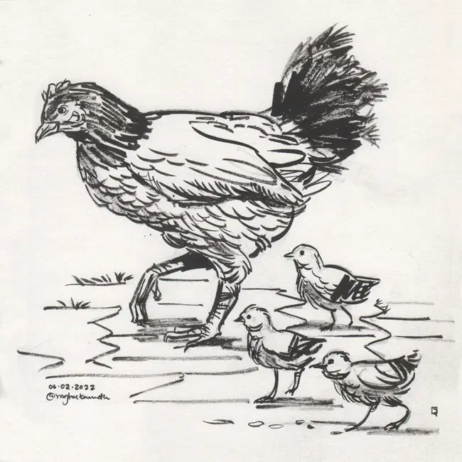 hen
