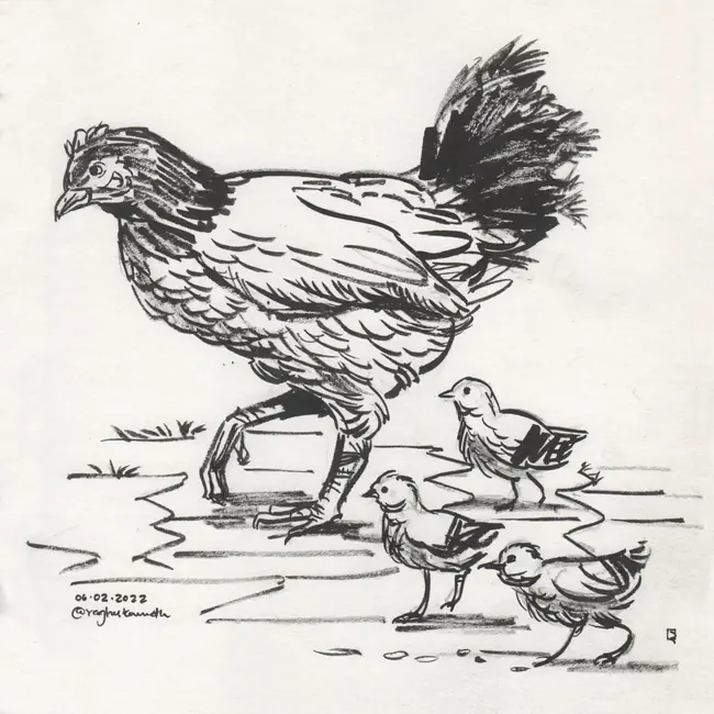 hen