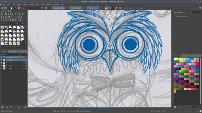 owl sketch